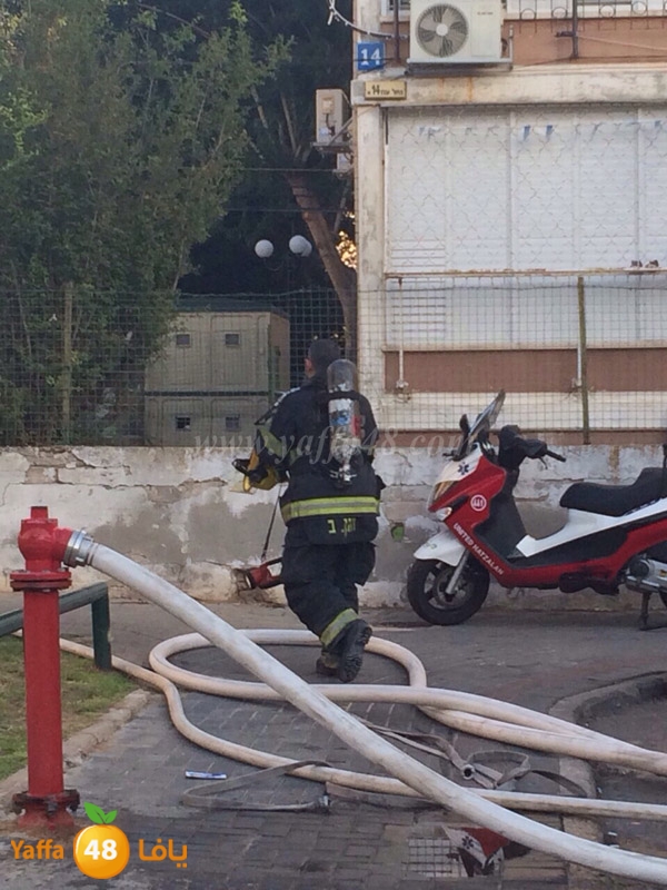 fire in noazha shoqa (5).JPG